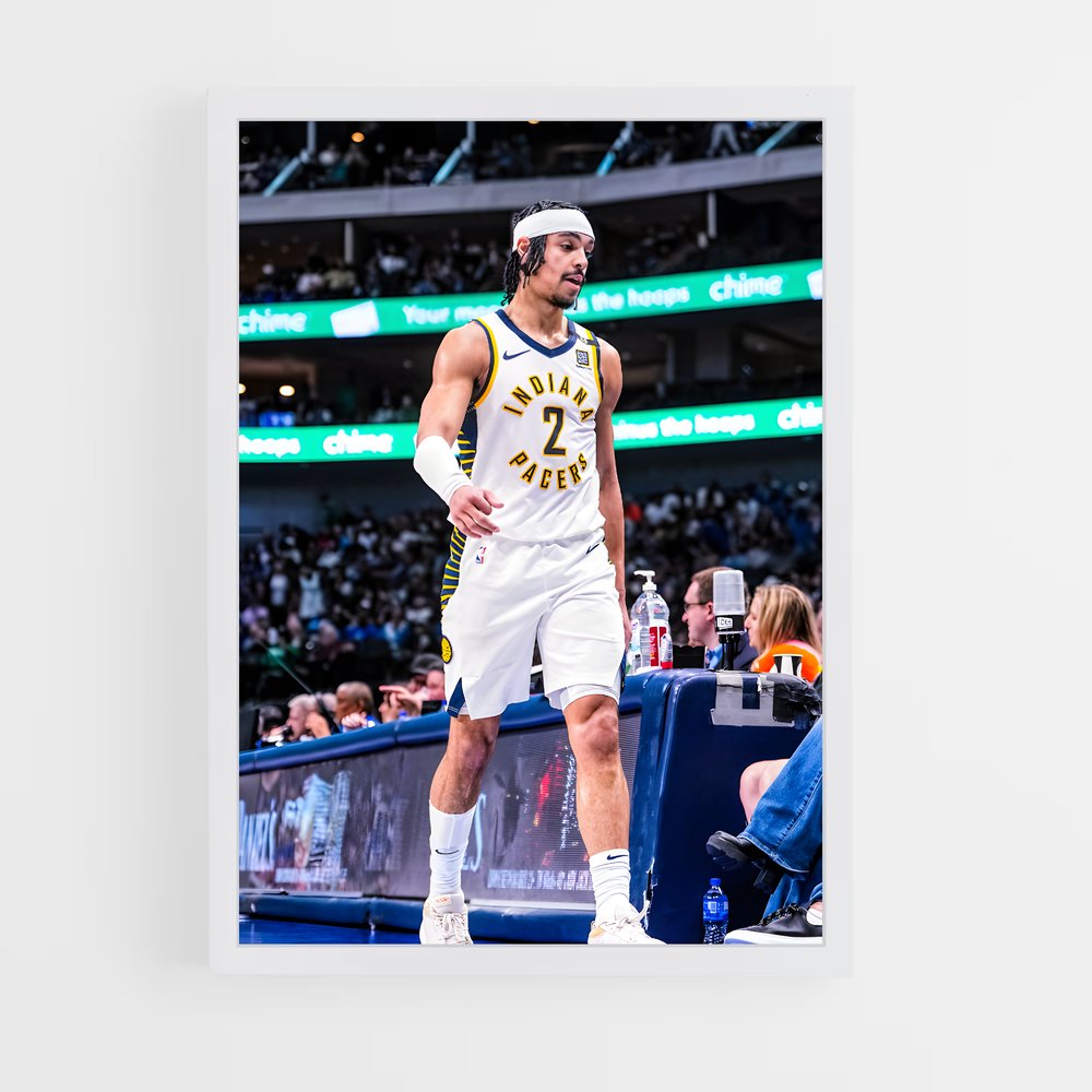 Poster La Garde des Pacers – affiche Basketball (vue 3)